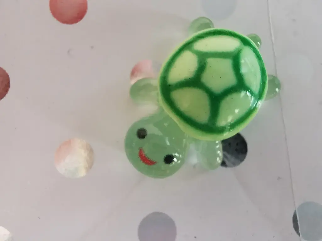 Pin's Tortue